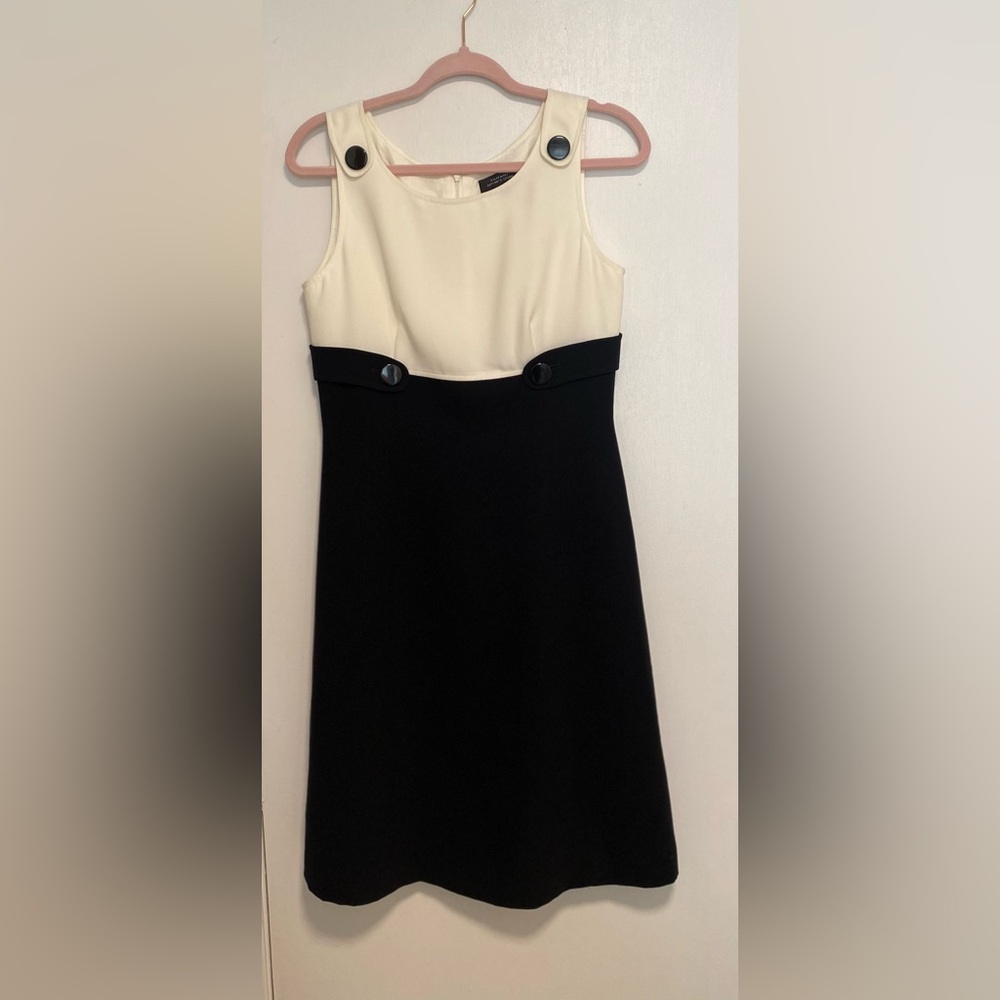 Tahari ASL Black and cream  MIDI  Dress